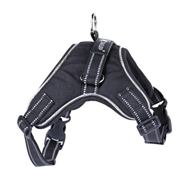 Luminous Canine Collar-6