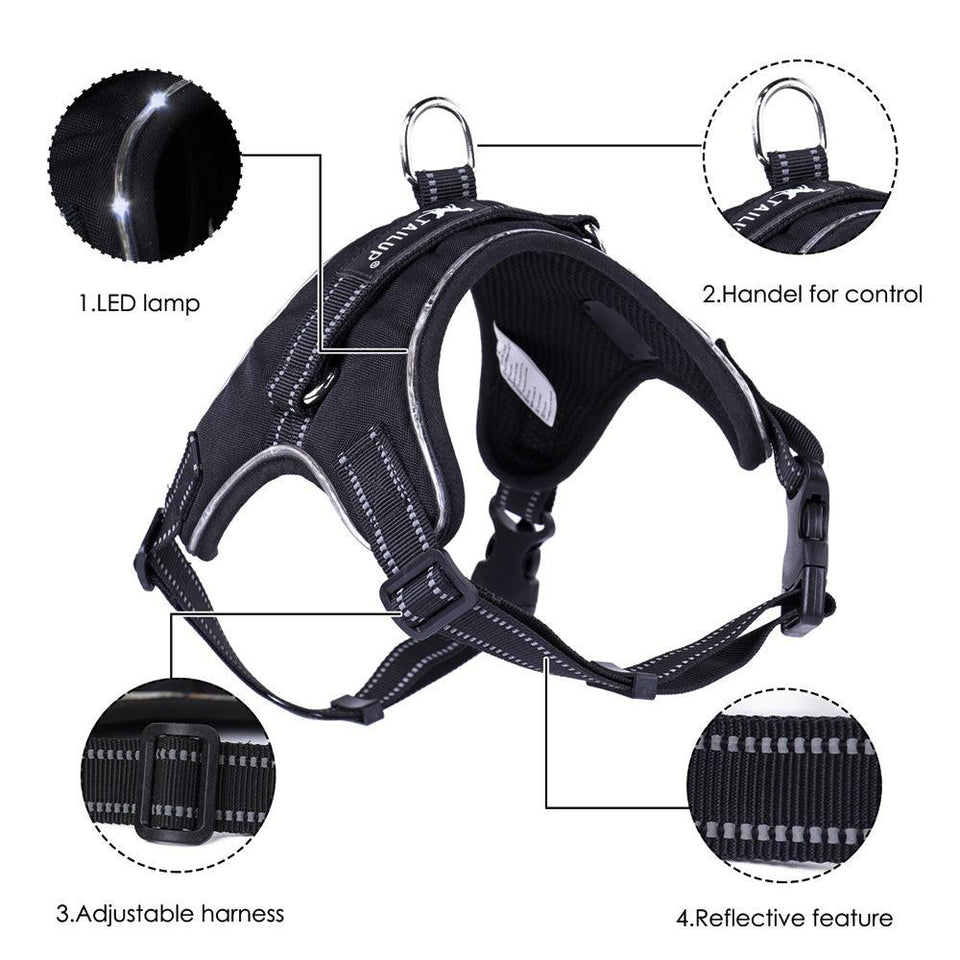 Luminous Canine Collar-4