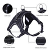 Luminous Canine Collar-4