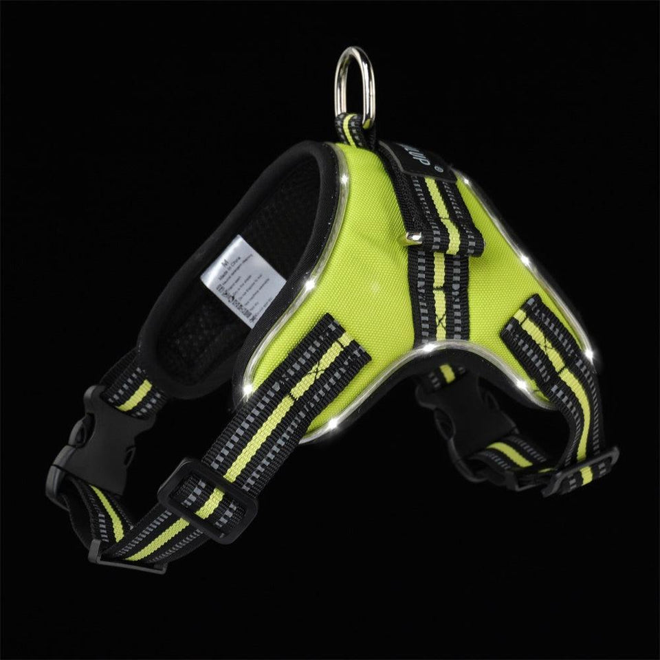 Luminous Canine Collar-5