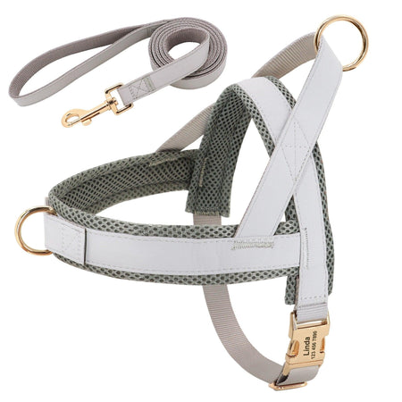 Customizable Pet Harness And Leash Set-4